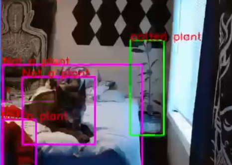 A screenshot of a machine vision algorithim running, labeling video feed from a webcam